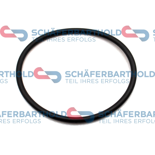Seal Ring, oil screen (395 18 012 01 22)