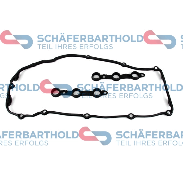 Gasket Set, cylinder head cover (313 02 644 01 11)