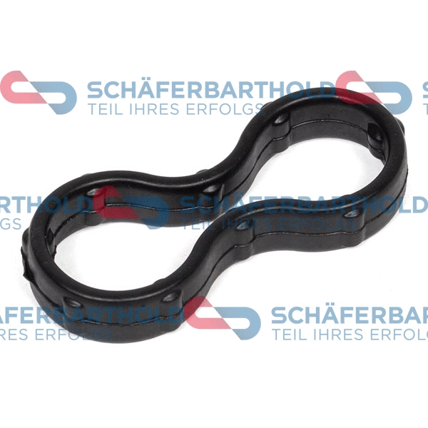 Gasket, timing case (313 16 013 01 11)