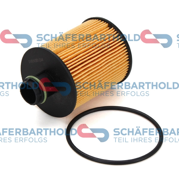 Oil Filter (310 27 109 01 11)