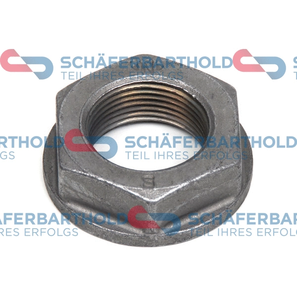Nut, stub axle (100 27 033 01 11)