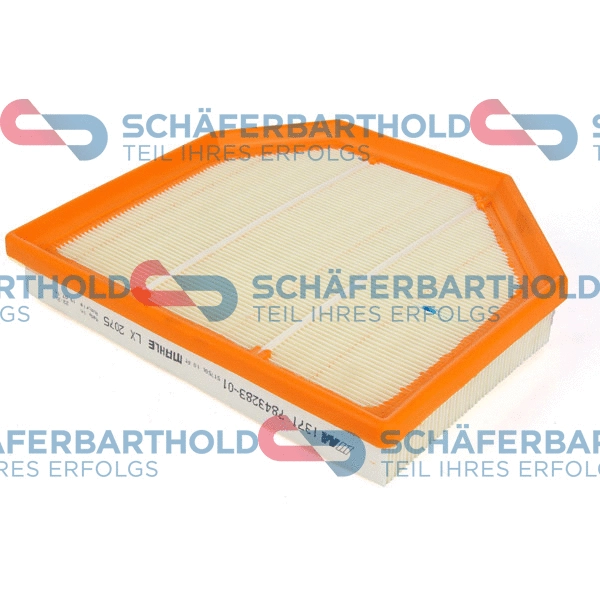 Air Filter (310 02 640 01 11)