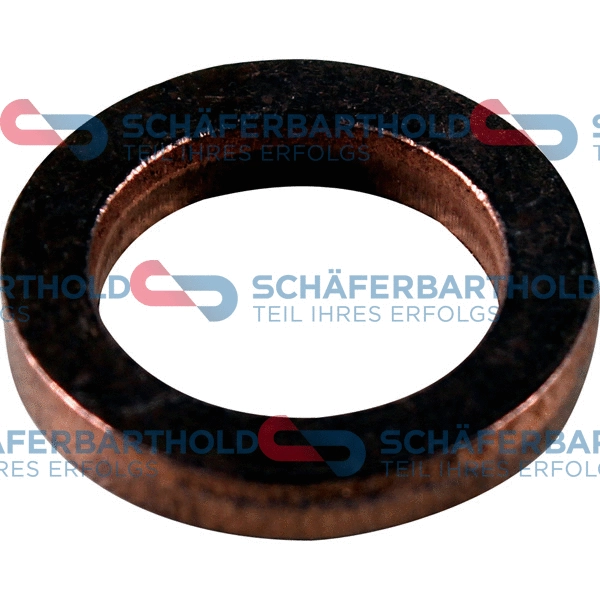 Seal Ring, oil outlet (charger) (313 27 105 01 11)