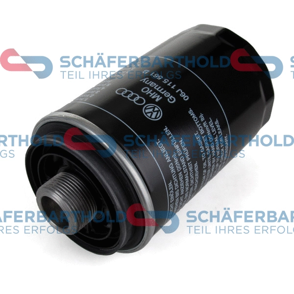 Oil Filter (310 18 828 01 11)