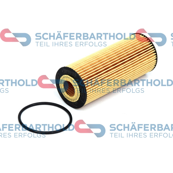 Oil Filter (310 12 676 01 11)