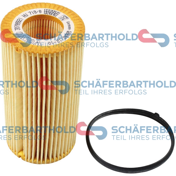 Oil Filter (310 38 141 01 11)