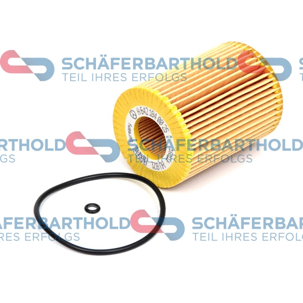 Oil Filter (310 12 613 01 11)