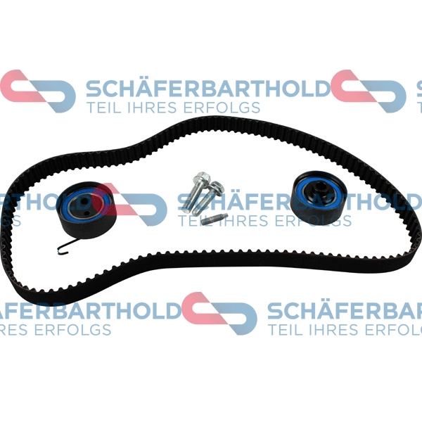 Timing Belt Kit (300 16 302 01 11)