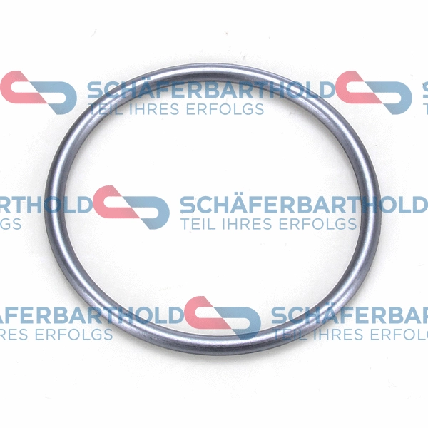 Seal, injection pump (313 16 005 01 11)