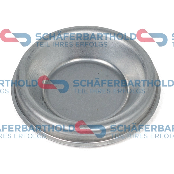 Protection Lid, wheel hub (100 27 003 01 11)