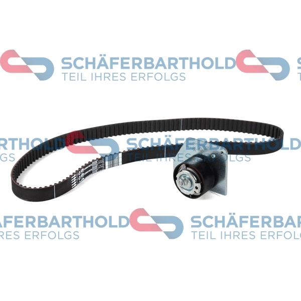 Timing Belt Kit (310 28 650 01 11)