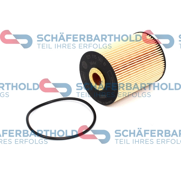 Oil Filter (310 18 606 01 11)