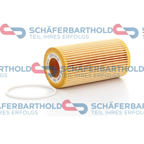 Oil Filter (310 06 207 01 11)