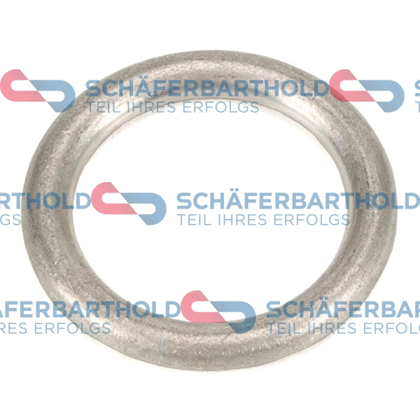 Seal Ring, oil drain plug (395 18 017 01 22)