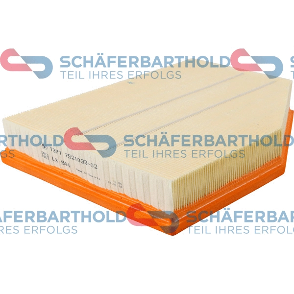 Air Filter (310 02 264 01 11)