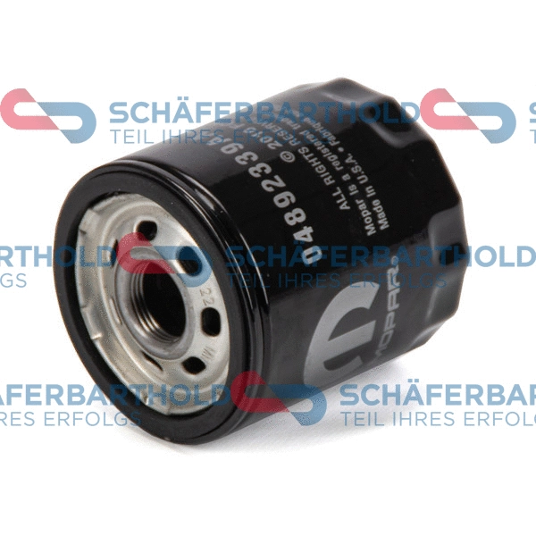 Oil Filter (310 08 165 01 11)