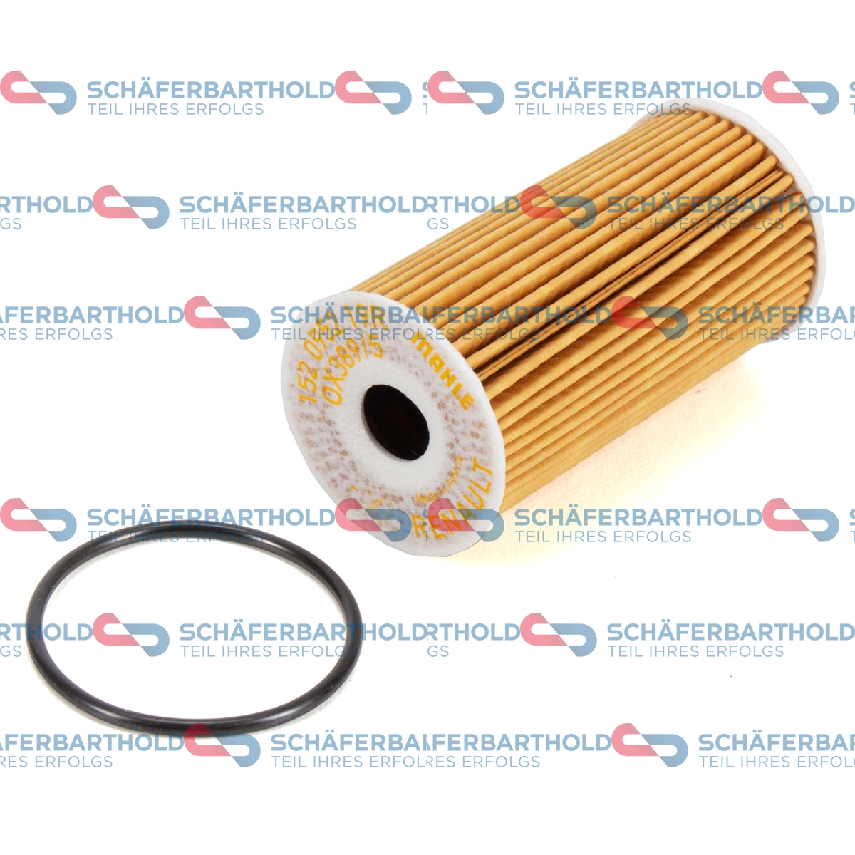 Oil Filter (310 28 101 01 11)