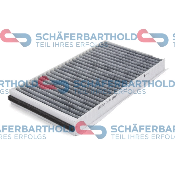 Filter, cabin air (310 02 308 01 11)