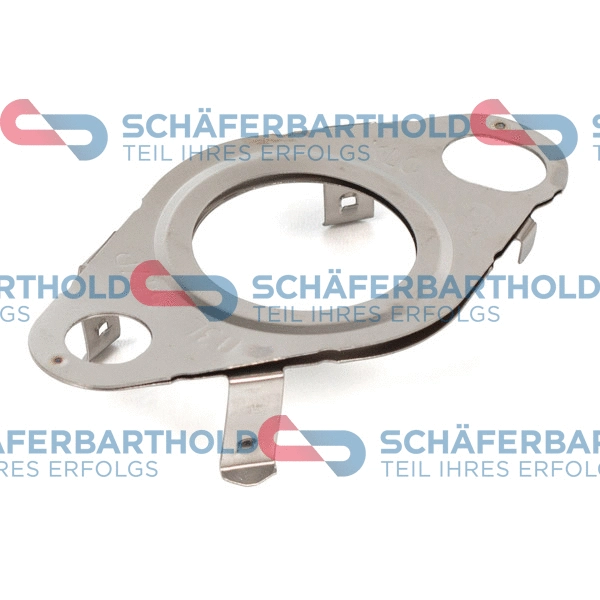 Gasket, EGR valve (313 18 913 01 11)
