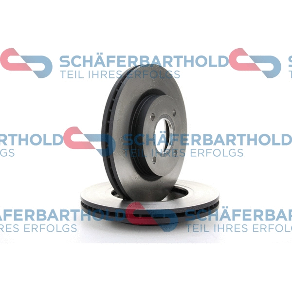 Brake Disc (315 06 488 01 11)