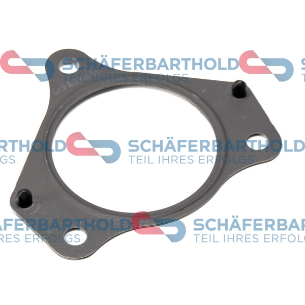 Gasket, exhaust pipe (313 12 516 01 11)