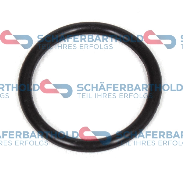 Seal Ring, oil drain plug (313 16 071 01 11)