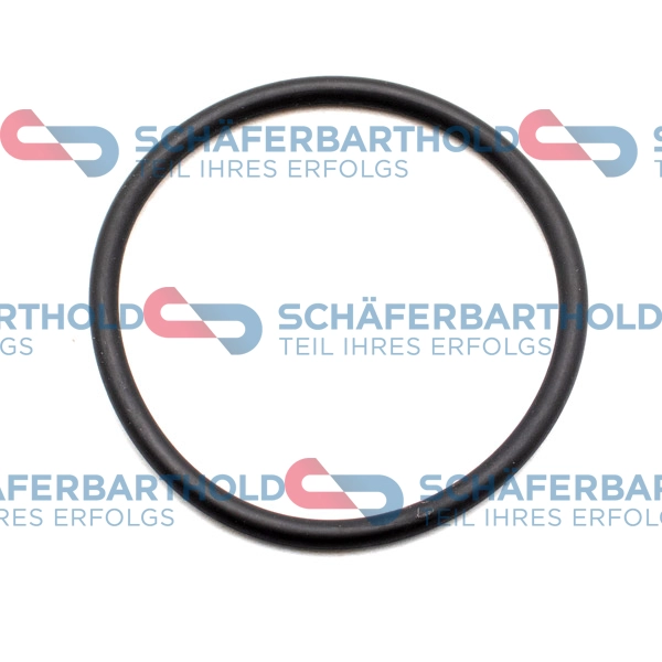 Seal, camshaft adjustment (313 12 048 01 22)