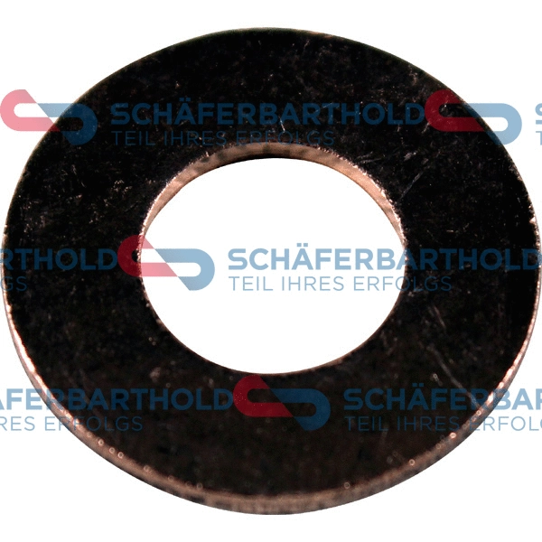 Seal Ring, oil drain plug (313 27 062 01 11)