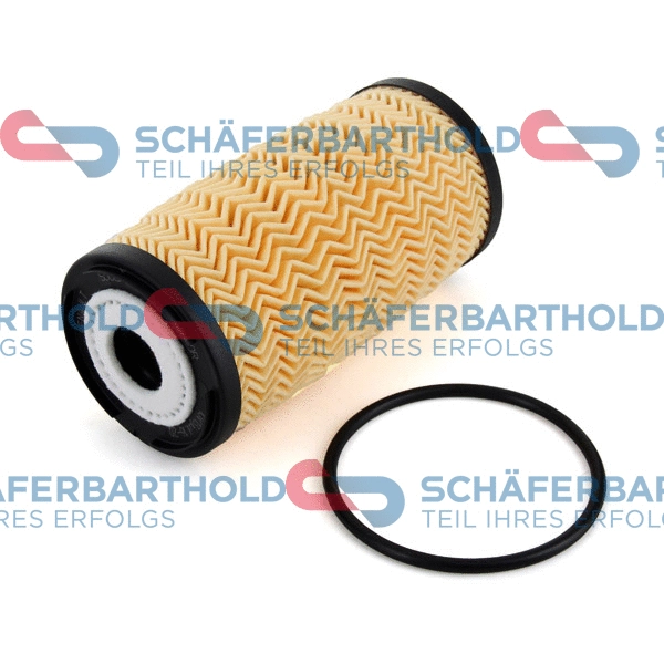 Oil Filter (310 28 132 01 11)