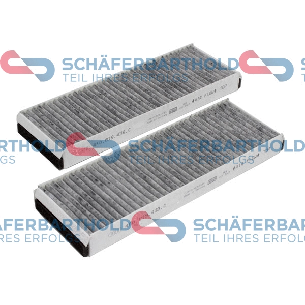 Filter, cabin air (310 04 303 01 11)