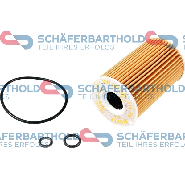 Oil Filter (310 18 156 01 11)