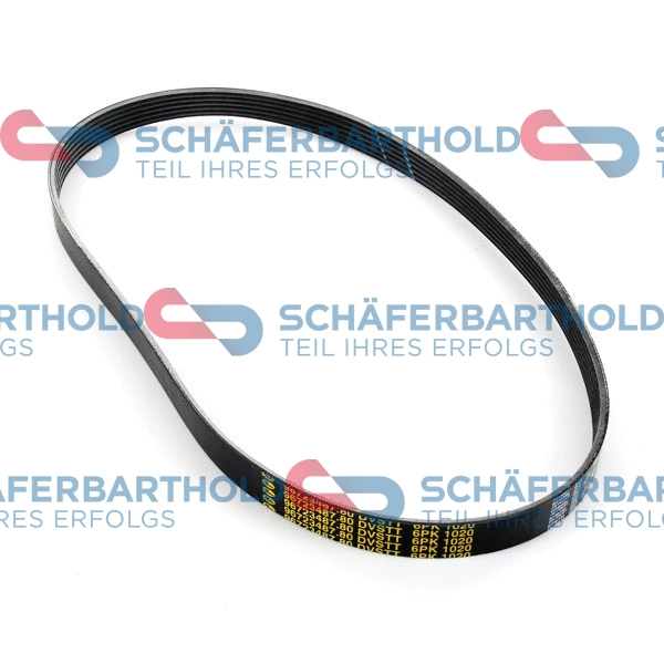V-Ribbed Belt (300 27 851 01 11)