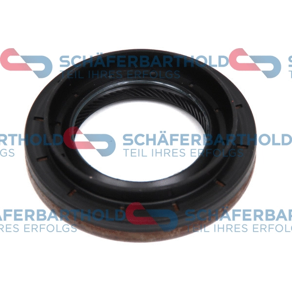 Shaft Seal, differential (313 28 432 01 11)
