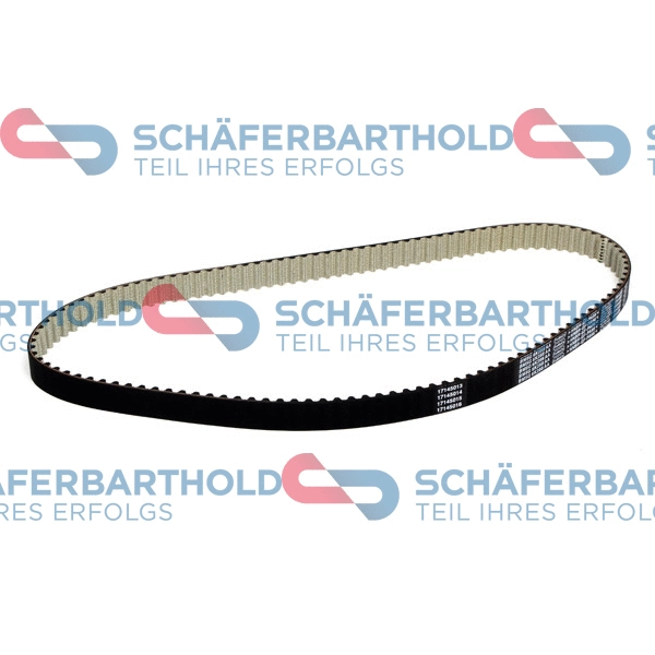 Timing Belt (920 06 746 01 11)