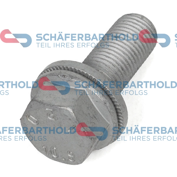 Bolt, brake caliper (317 18 771 01 11)