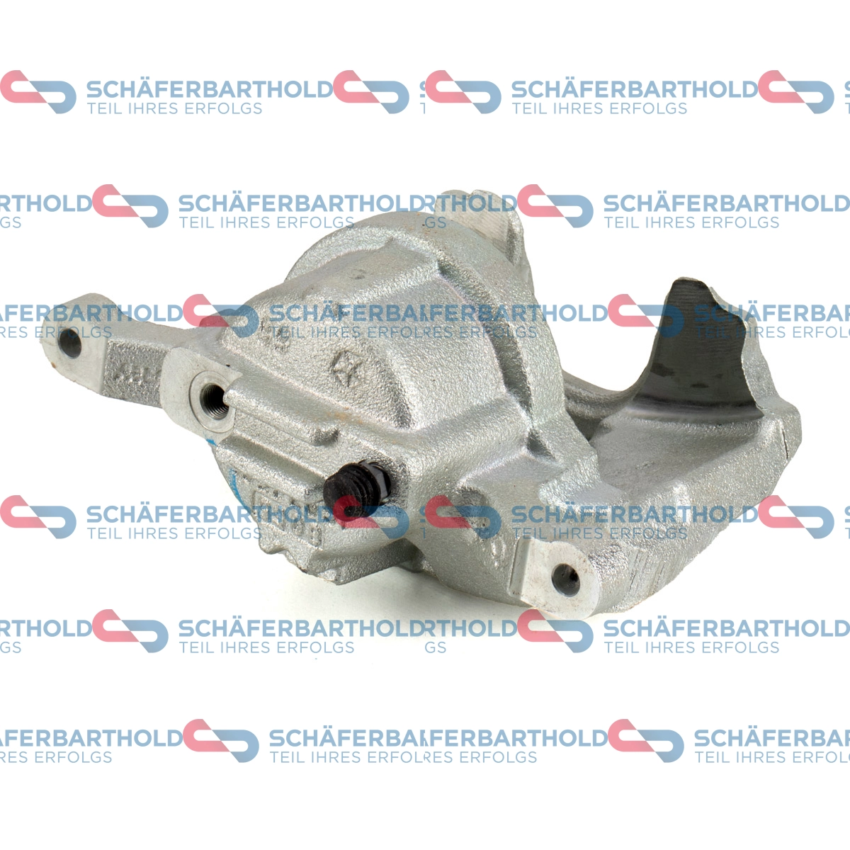 Brake Caliper (317 05 005 01 11)