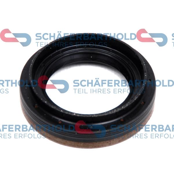 Shaft Seal, differential (313 16 419 01 11)
