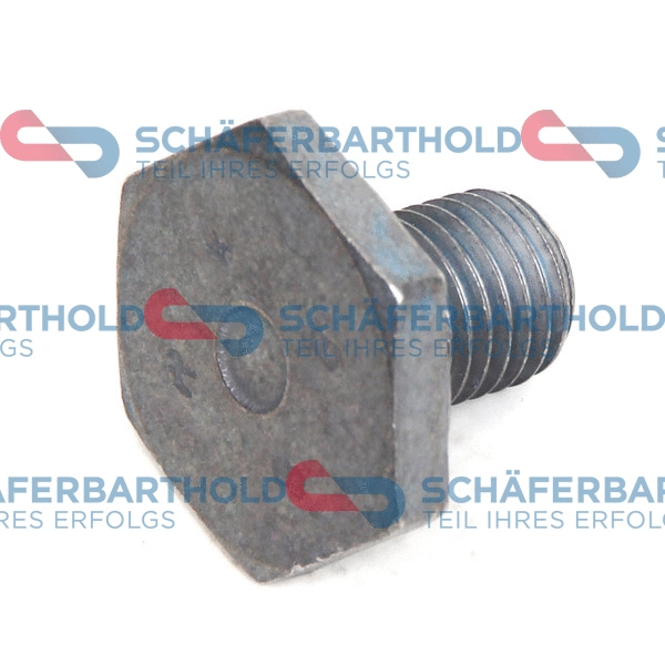 Screw Plug, oil sump (310 27 959 01 11)