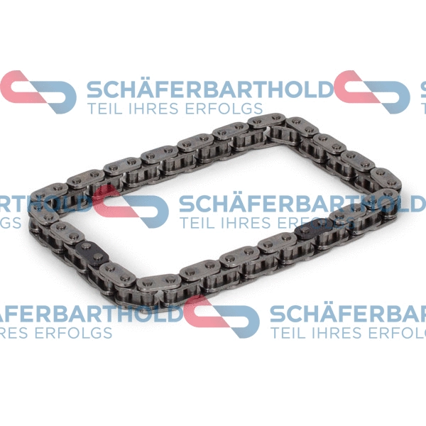 Timing Chain (310 27 492 01 11)