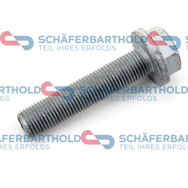 Pulley Bolt (310 28 697 01 11)
