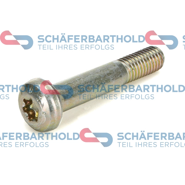 Fastening Bolt, control arm (934 06 078 01 11)