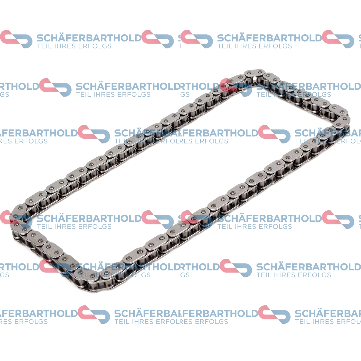 Timing Chain (319 18 604 01 11)