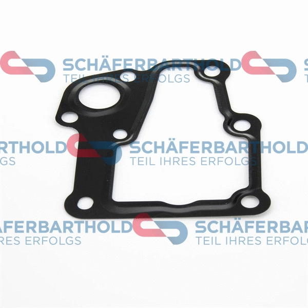 Gasket, thermostat housing (313 27 959 01 11)