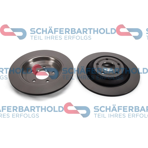 Brake Disc (315 06 324 01 11)