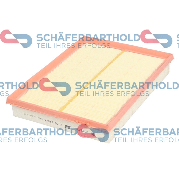 Air Filter (310 16 340 01 11)