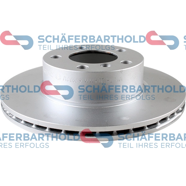 Brake Disc (315 02 519 01 11)