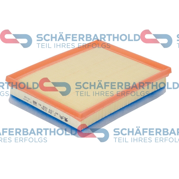 Air Filter (310 27 689 01 11)