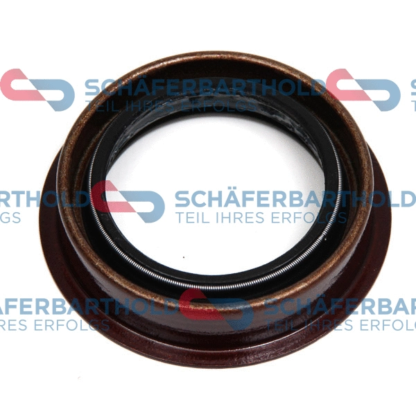 Shaft Seal, differential (919 06 163 01 11)