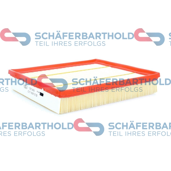 Air Filter (310 06 252 01 11)