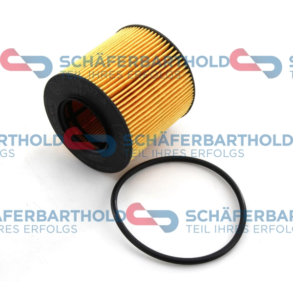 Oil Filter (310 18 609 01 11)